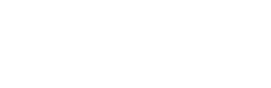 Emirates Labour Market Award